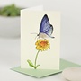 Papillon Bleu sur Fleur Mini Carte 12