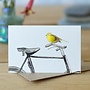 Yellowhammer Bird and Bicycle Mini Card 10