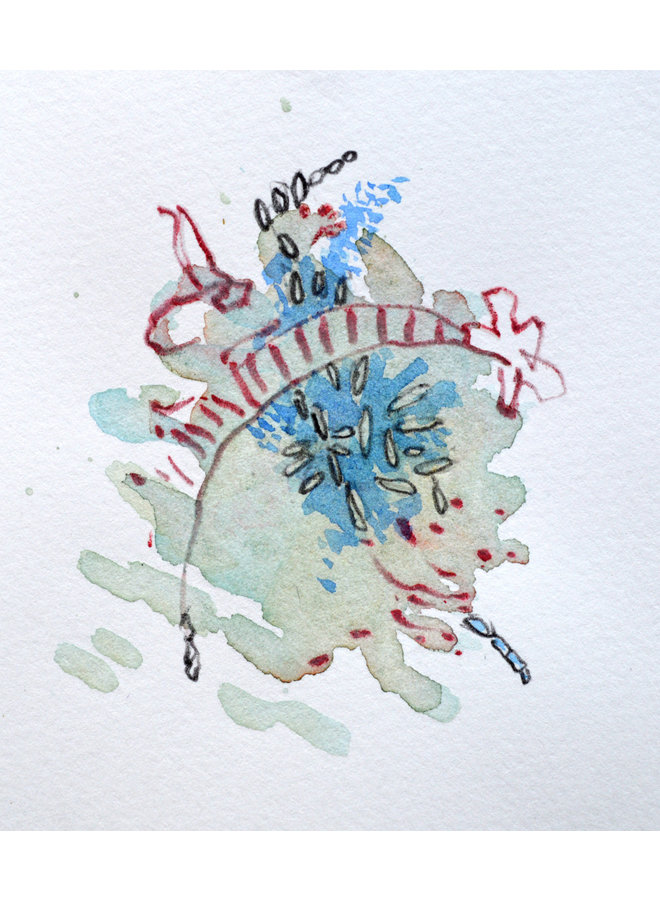 Диатомовые водоросли и гидра, река Колдер, июль 2021 - 14