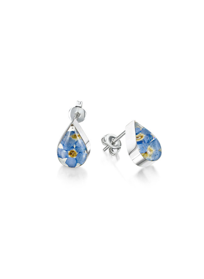 Teardrop Forget me not stud earings real flowers and silver 125