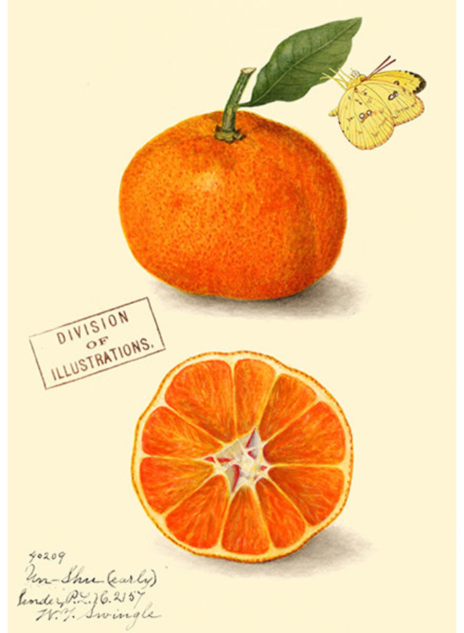 Clementine Vintage Card