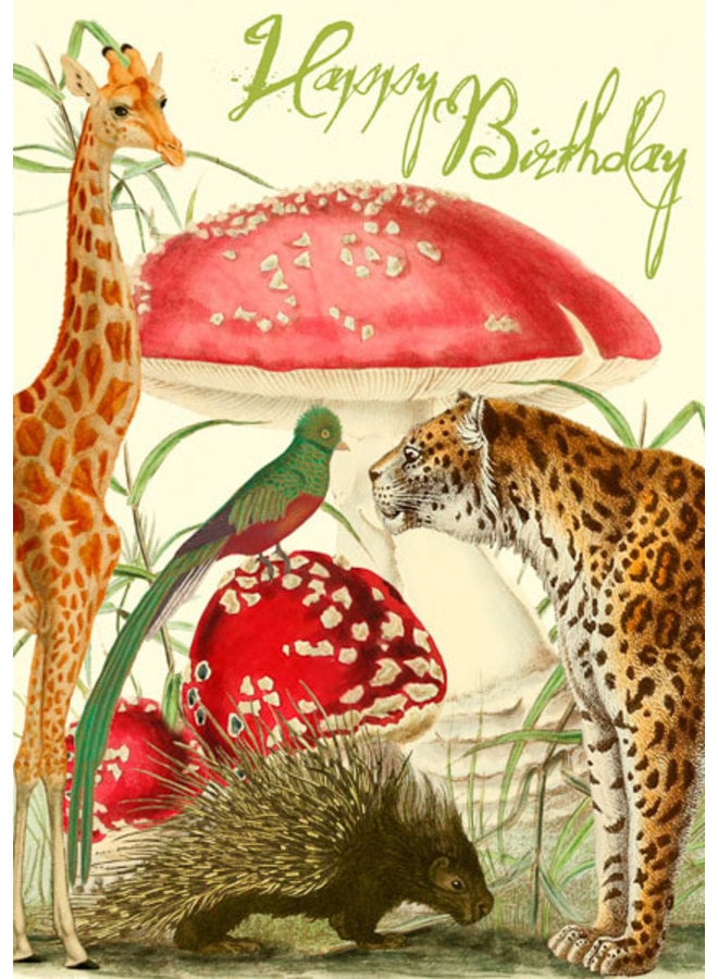 Whimsical Garden  Happy Birthday Card