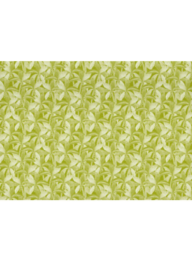 Over the Rainbow con papel de regalo reversible de elefante