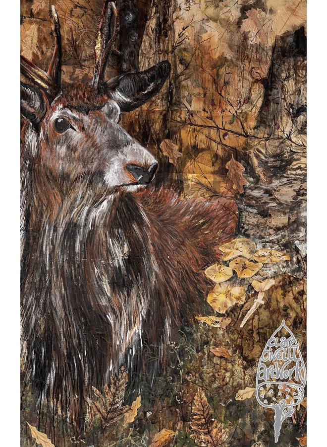 Autumn Stag  Large Artists Card 01