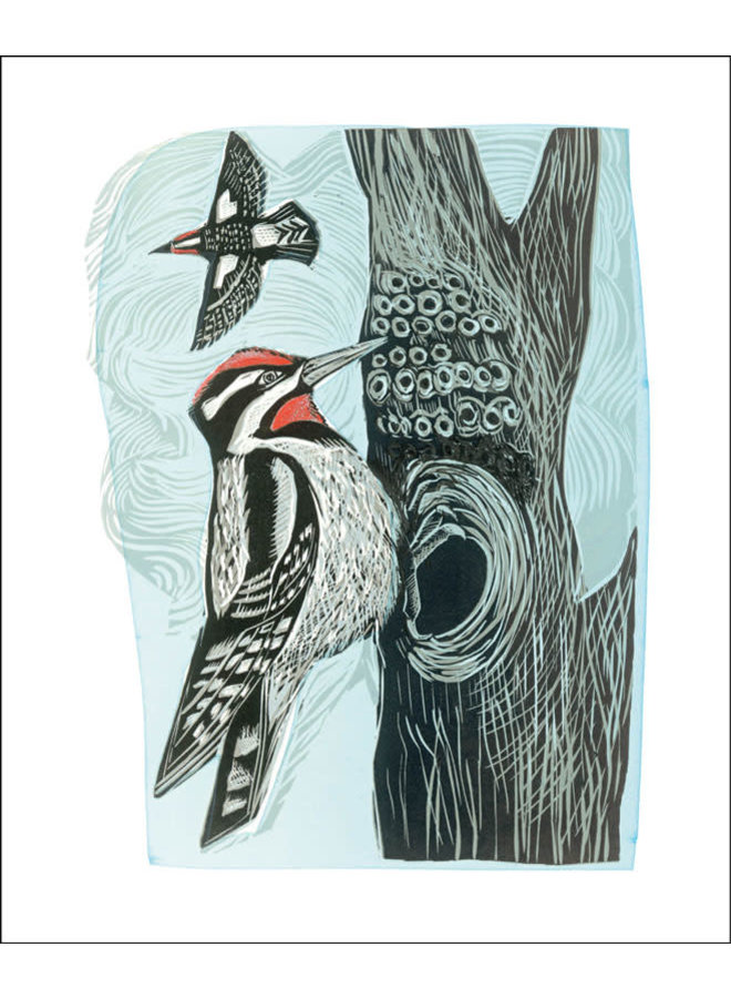 Lesser Spotted Woodpecker  by Angela Harding