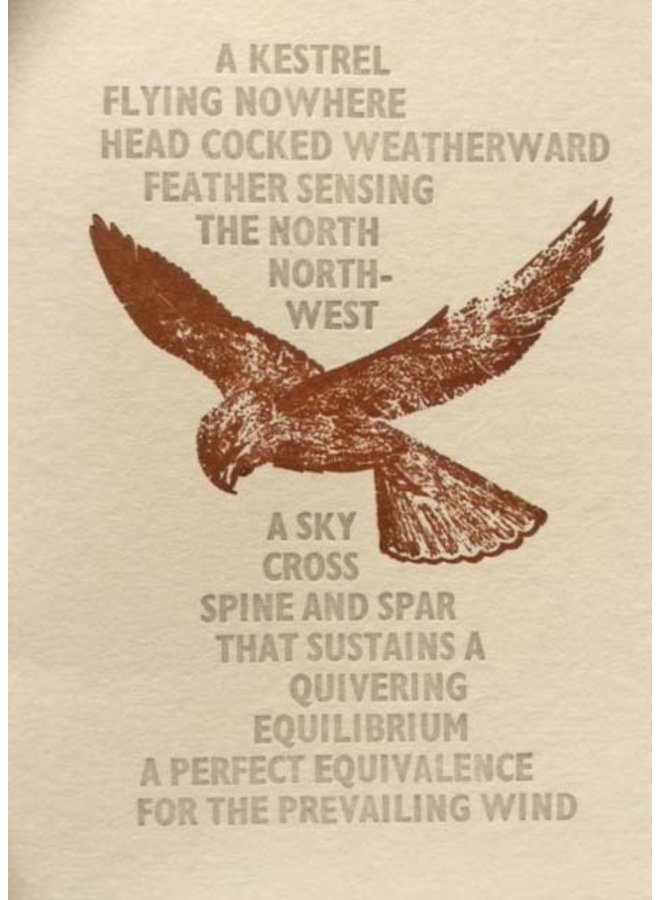 Kestral Card 09