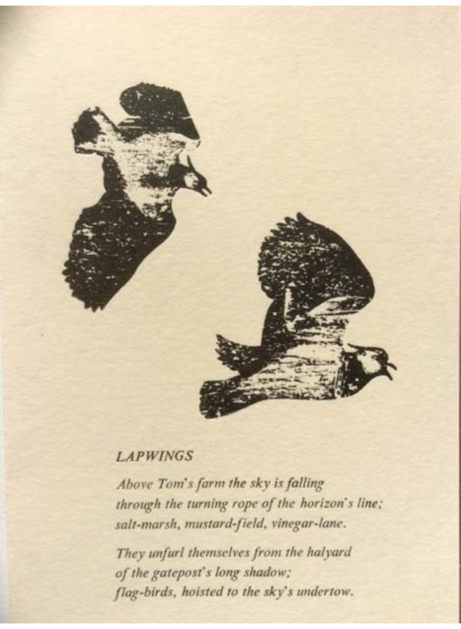 Карточка Lapwings 07