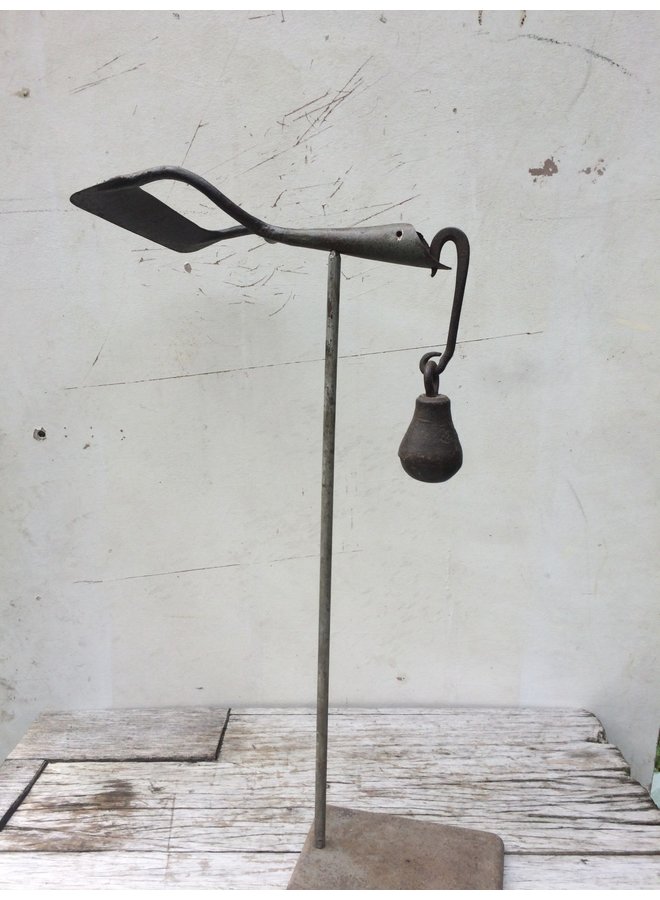 Pájaro con Rana 078