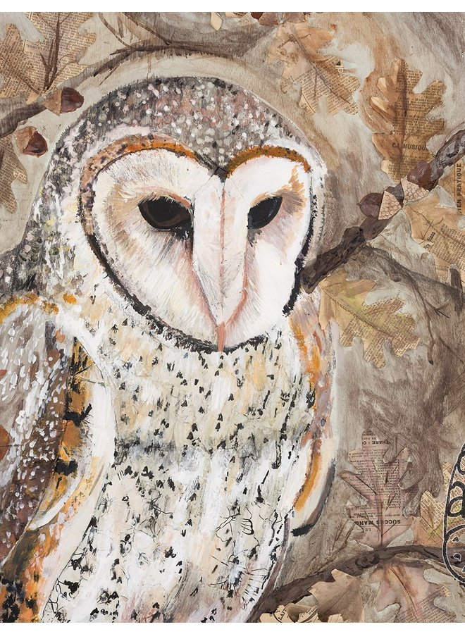 Barn Owl Giclee print 11