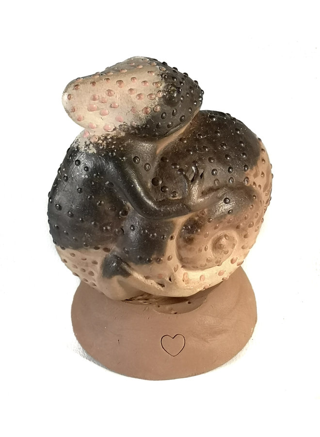 Secouez, hochet et caméléon enroulé 43