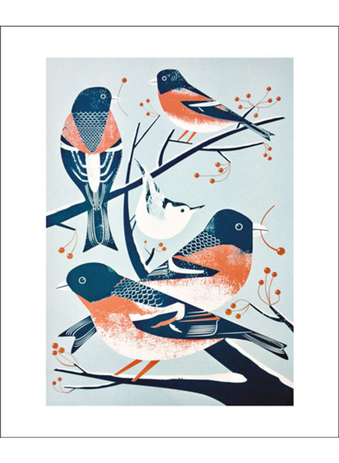 Bramblings and a Nuthatch card by Chris Andrews