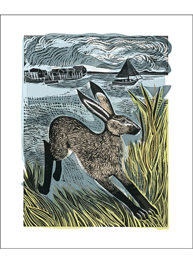 Young Hare by Angela Harding