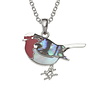 Collier coquillage Robin Paua uniquement
