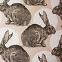 Rabbit Kraft wrapping paper 25