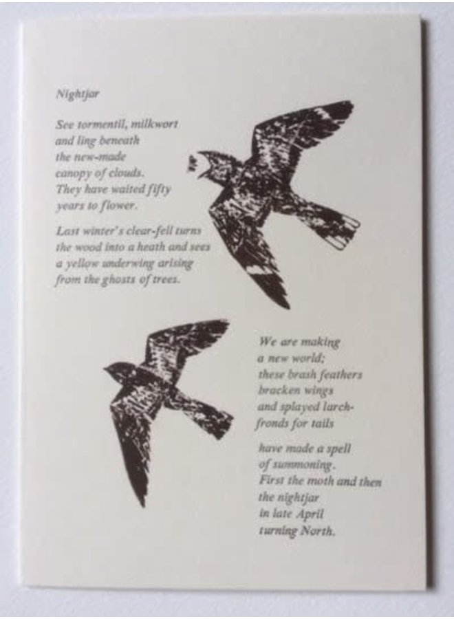 Nightjar-kort med dikt 12