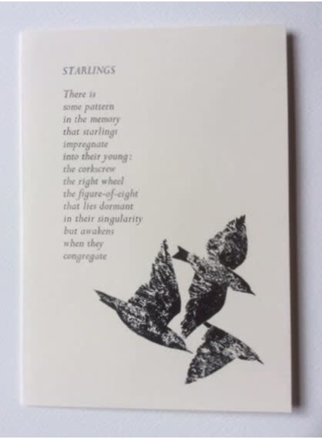 Starlings Card with original poem 14
