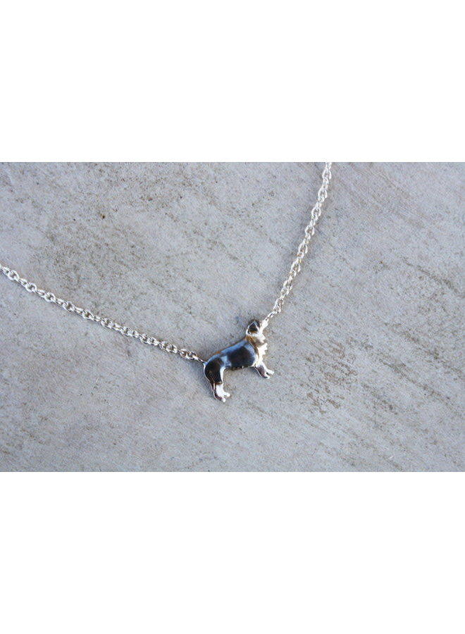 Collie silverhalsband 02