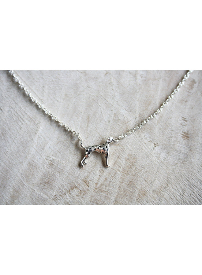 Dalmation silverhalsband 03