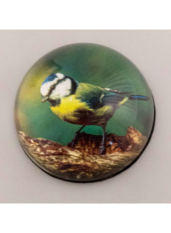 Blue Tit Paperweight 80