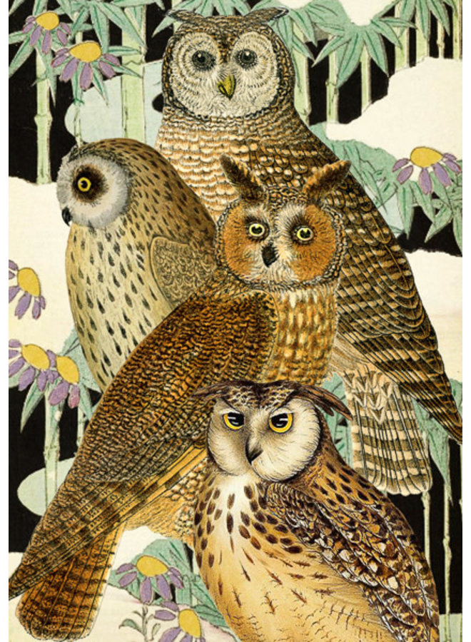 Owls in a Japanese Garden Card