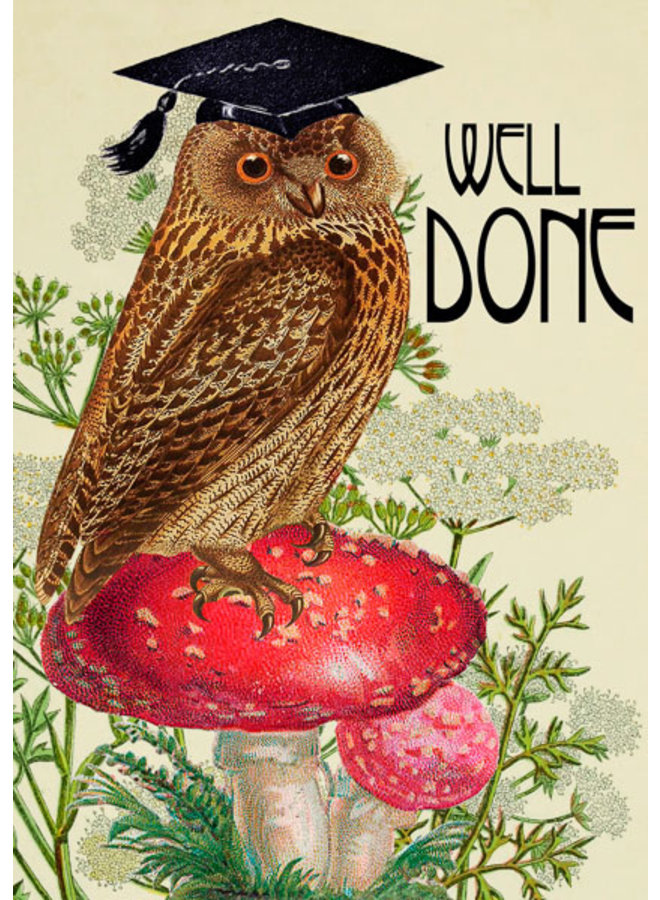 Well Done - Wise Owl  Card