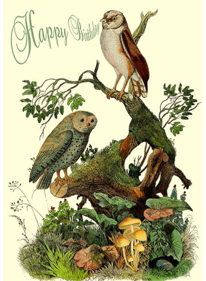 Owls in The Wood - Happy Birthday Card