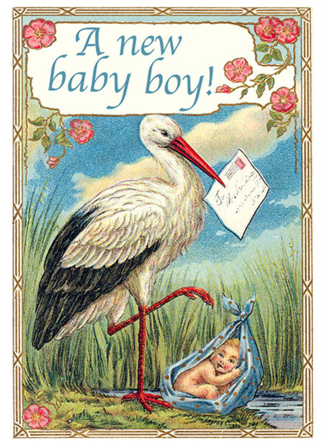 Der Storch - Baby Boy-Karte