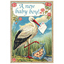 Storken - Baby Boy Card