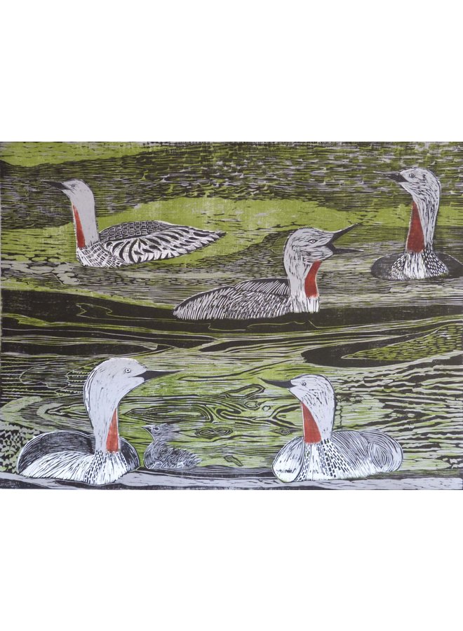 Red Throated Divers Woodcut Framed 036