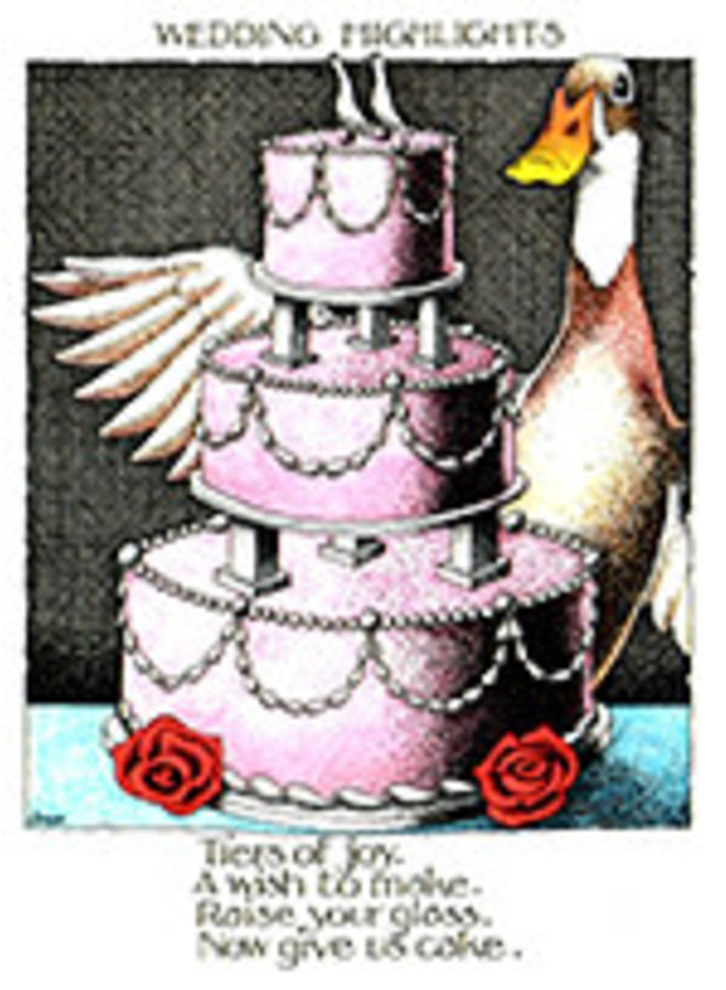 Wedding Highlights large card 834