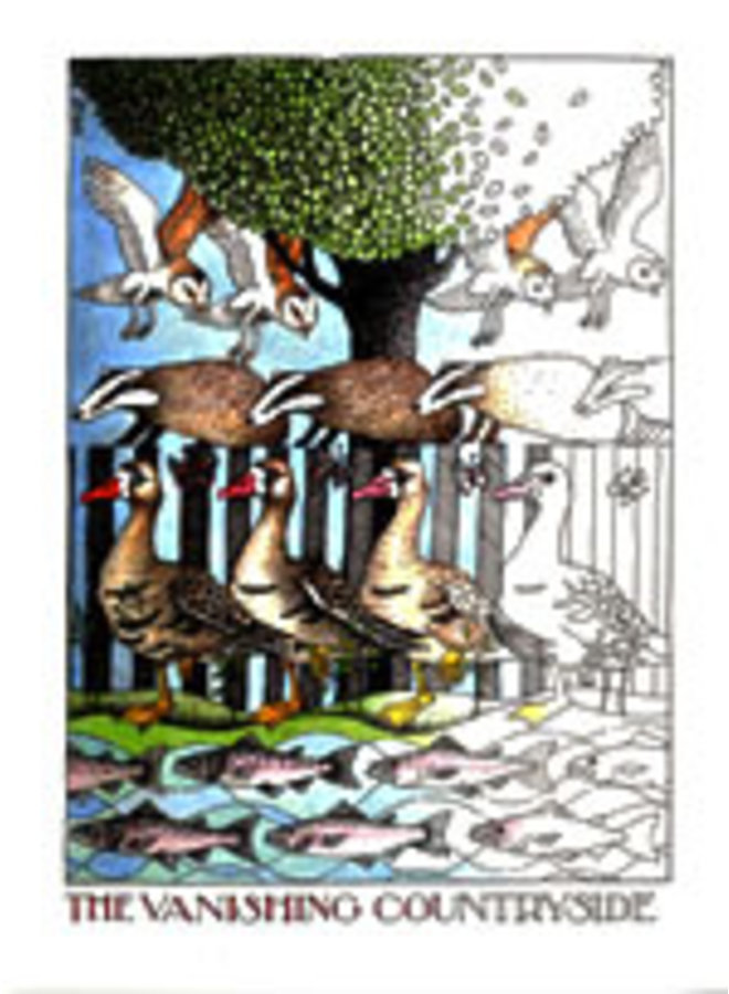 Большая карта «Исчезающая сельская местность» 835