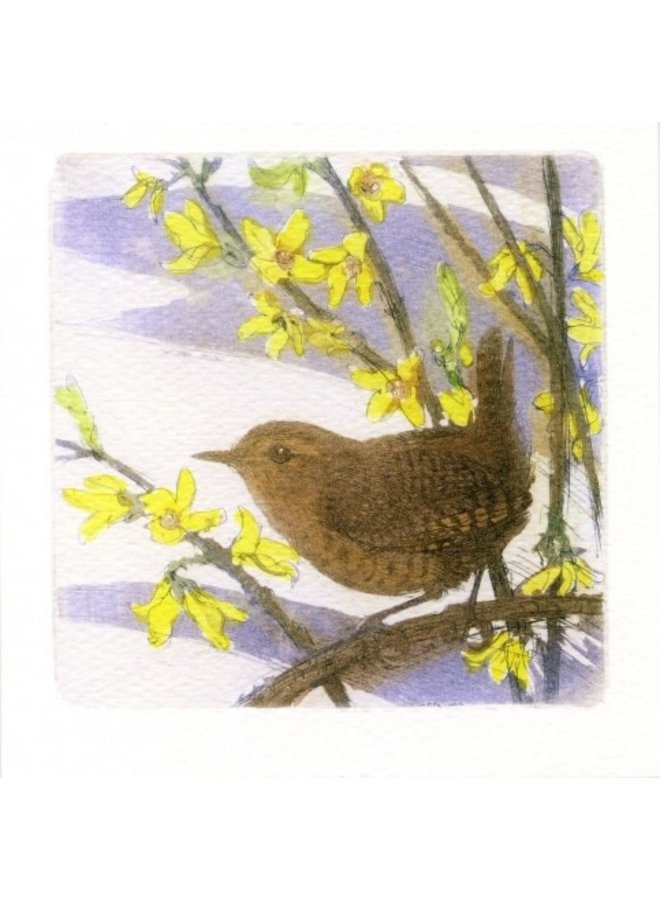 Wren and Forsythia  Square card