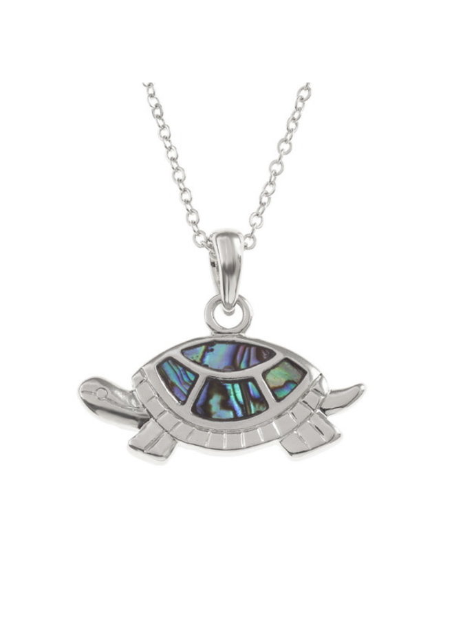 Collar Concha Paua Tortuga 411