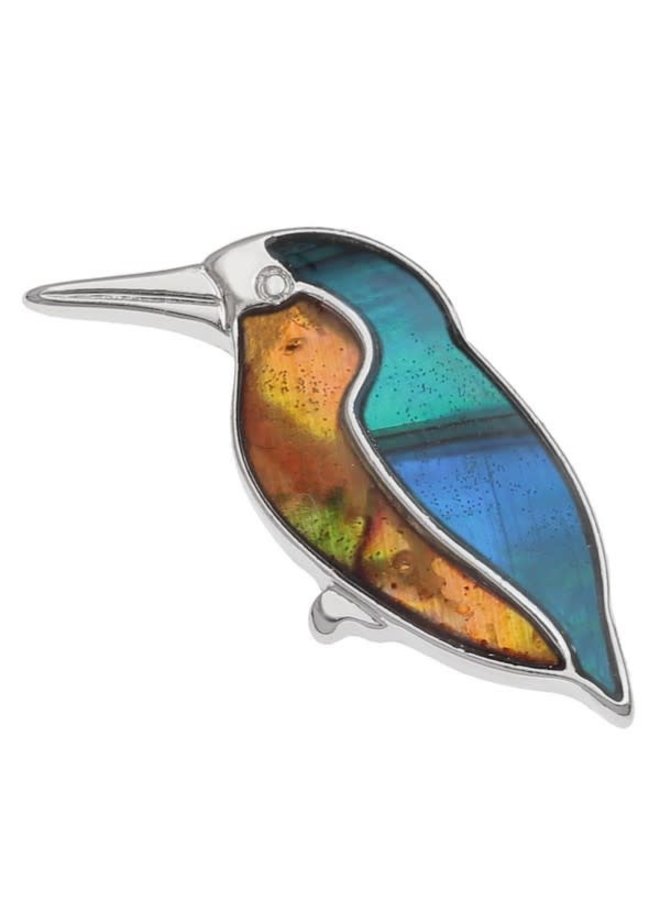 Kingfisher Paua skal Pin Brosch 420