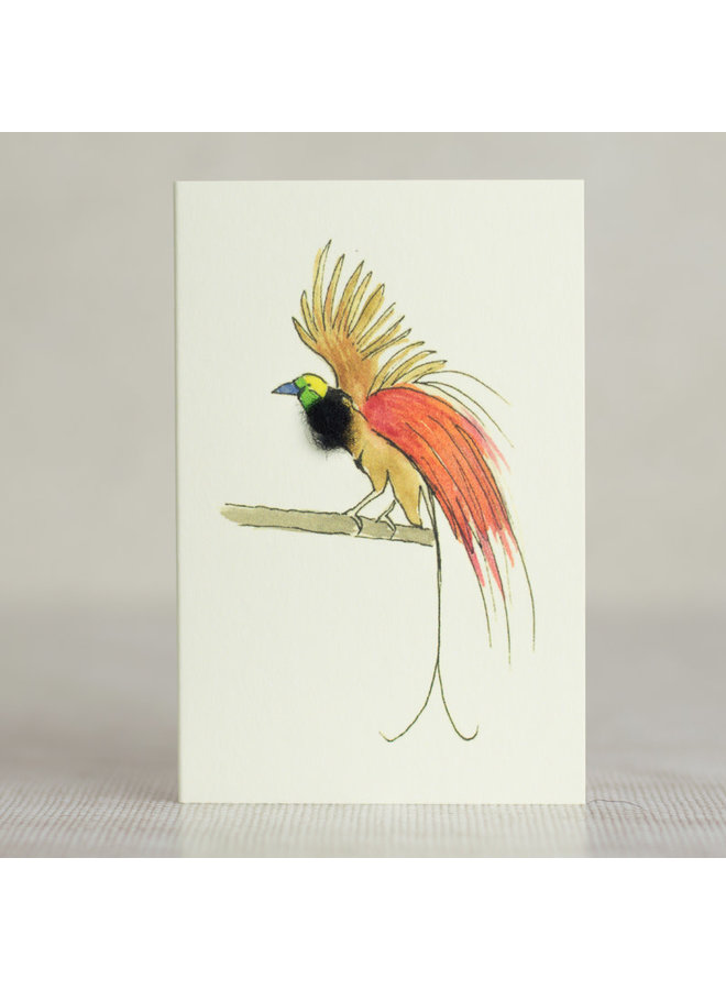Bird of Paradise Mini Card 38