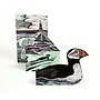 Papageientaucher auf Coquet Island von Angela Harding