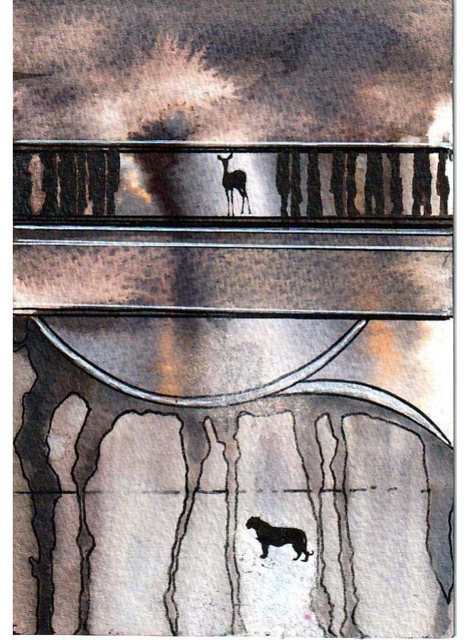 Mirar y esperar - 13