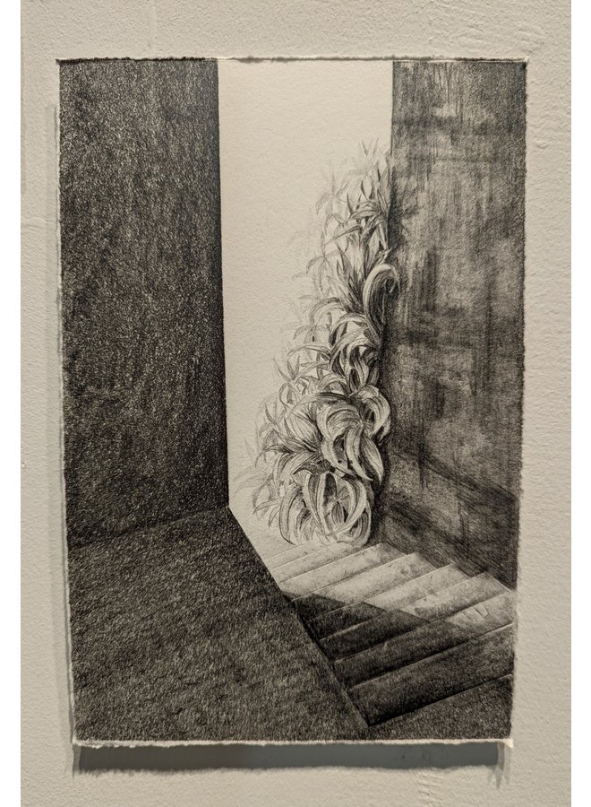 Прикосновение к пансионерам № 1 - 01