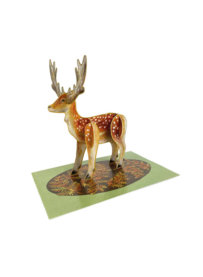 Carte Pop-Out Cerf par Alice Melvin