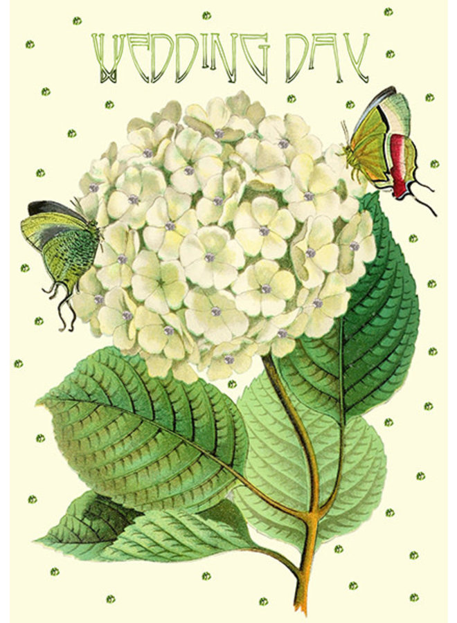 Bröllopsdagen vit hortensia glitterkort
