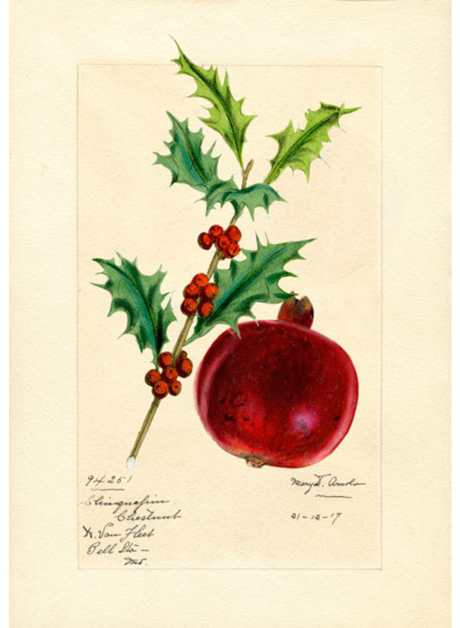Pomegranate Christmas card