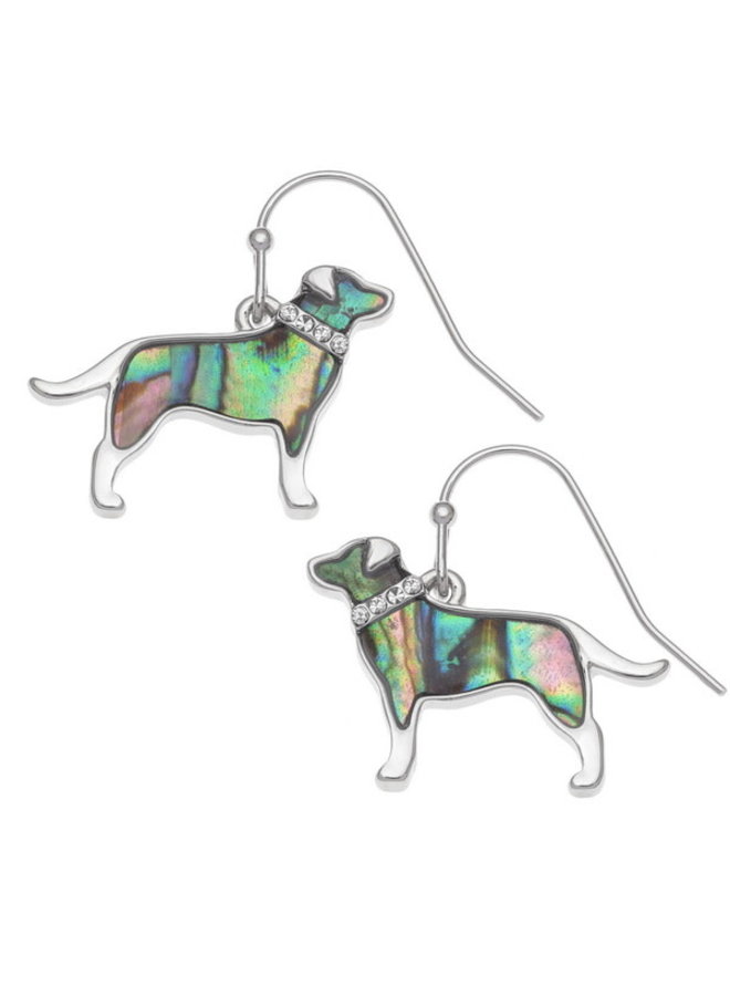 Labrador Paua Shell Earrings 852E