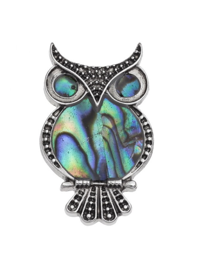 Owl Paua Shell Brooch 361B