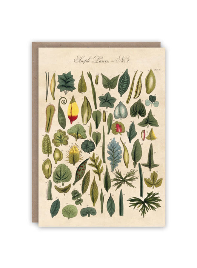 Leaves Pattern Book Card