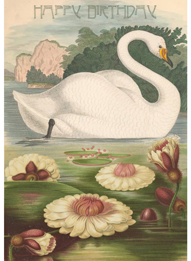 The Swan Happy Birthday Card