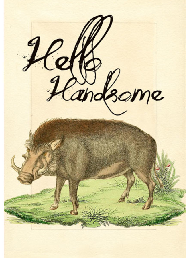 Tarjeta Wild Bore
