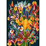 Midnight Iris Card