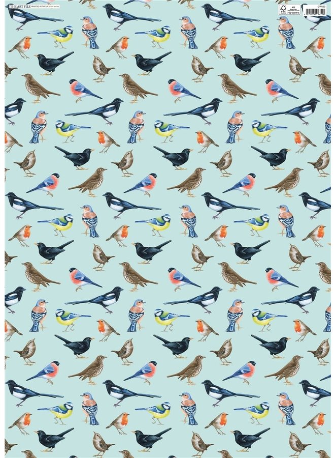 Fågelsång blå presentpapper