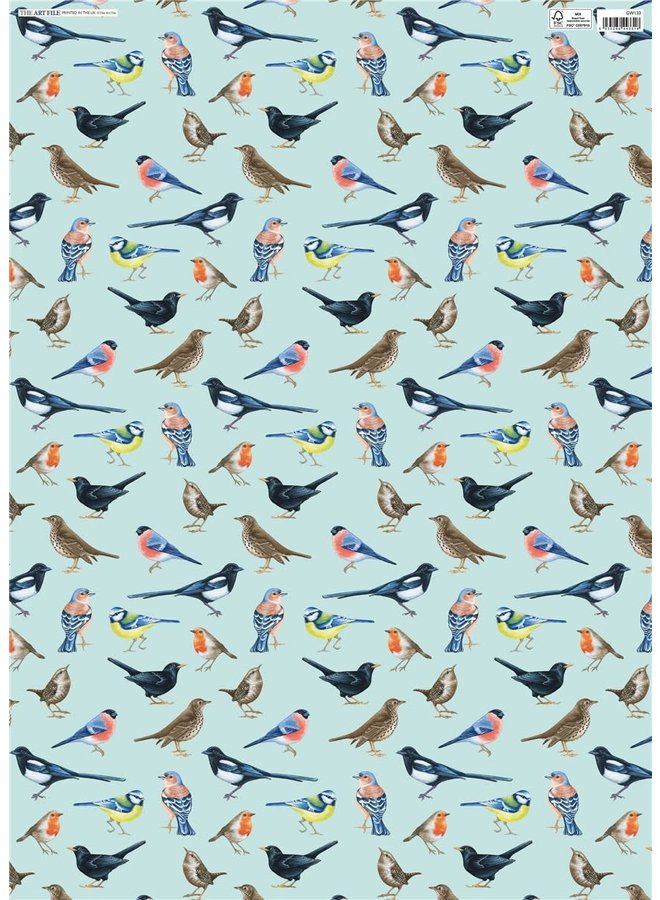 Papier cadeau bleu chant d'oiseau