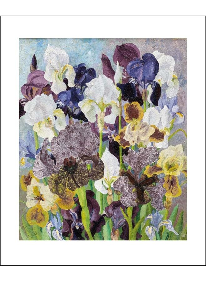 Iris florecientes de mayo de Cedric Morris